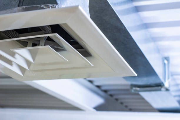 Best Affordable HVAC Duct Cleaning  in Alma, MI