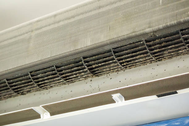 Best Local Air Duct Cleaning Services  in Alma, MI
