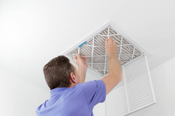 Best Affordable Duct Cleaning Services  in Alma, MI